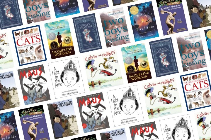 A collage of book covers, including Two Boys Kissing, A Light in the Attic, Calvin and Hobbes, MAUS, Brown Girl Dreaming, and others, arranged diagonally in a repeating pattern.