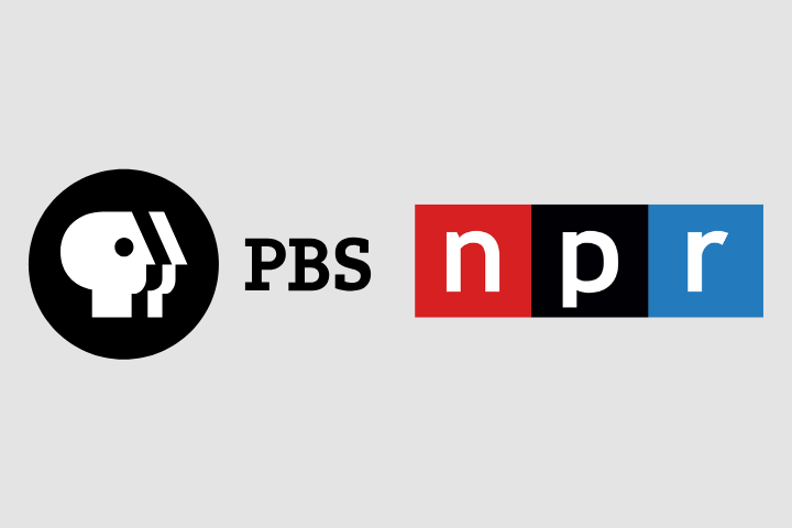 PBS and NPR logos side by side on a light gray background; PBS logo features a stylized face in a black circle, and NPR logo displays white n, p, and r letters in red, black, and blue squares respectively.