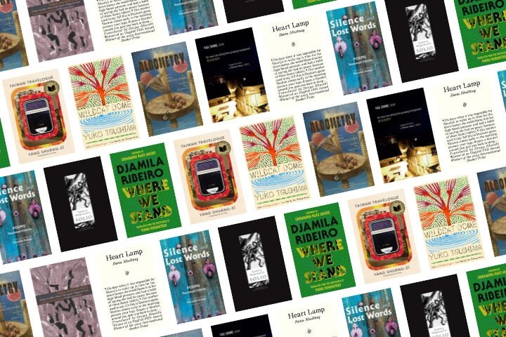 A diagonal collage of various book covers, including colorful illustrations, photographs, and text. The covers feature titles such as “Silence and Loss of Words,” “Heart Lamp,” “Where We Stand,” and “Wild Chicago.”.