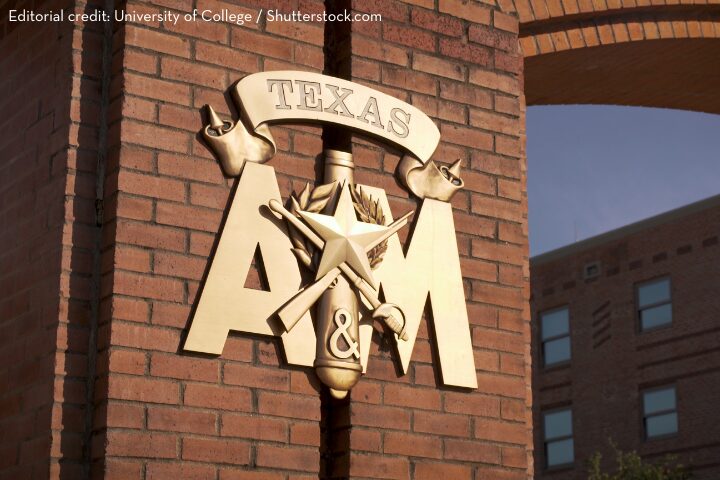 A gold Texas A&M University emblem with a shield, sword, and olive branch is mounted on a brick wall, with part of a building visible in the background.