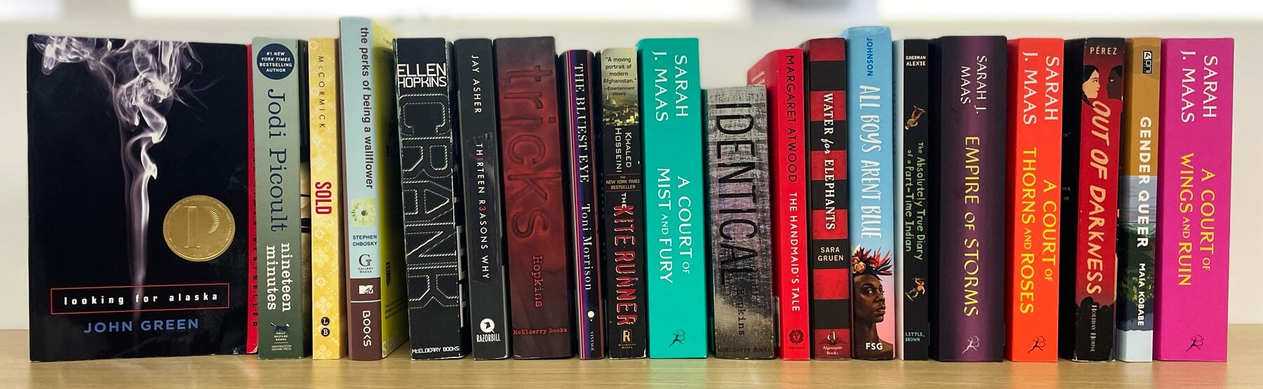 A row of young adult and diverse-themed books stands upright on a wooden surface, including titles by John Green, Jodi Picoult, Ellen Hopkins, Neal Shusterman, and several novels by S.J. Maas.