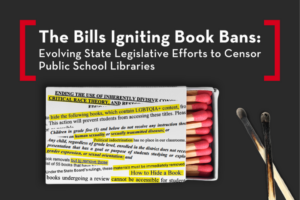A matchbox with highlighted text on censorship overlays the box; several pink-tipped matches are inside, with three burnt matches lying beside it. Title reads: “The Bills Igniting Book Bans” with a subtitle about library censorship.