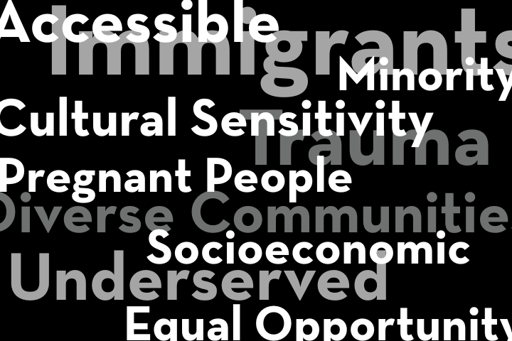 A word cloud on a black background featuring terms like Accessible, Immigrants, Cultural Sensitivity, Pregnant People, Underserved, Equal Opportunity, Minority, Trauma, and Socioeconomic.