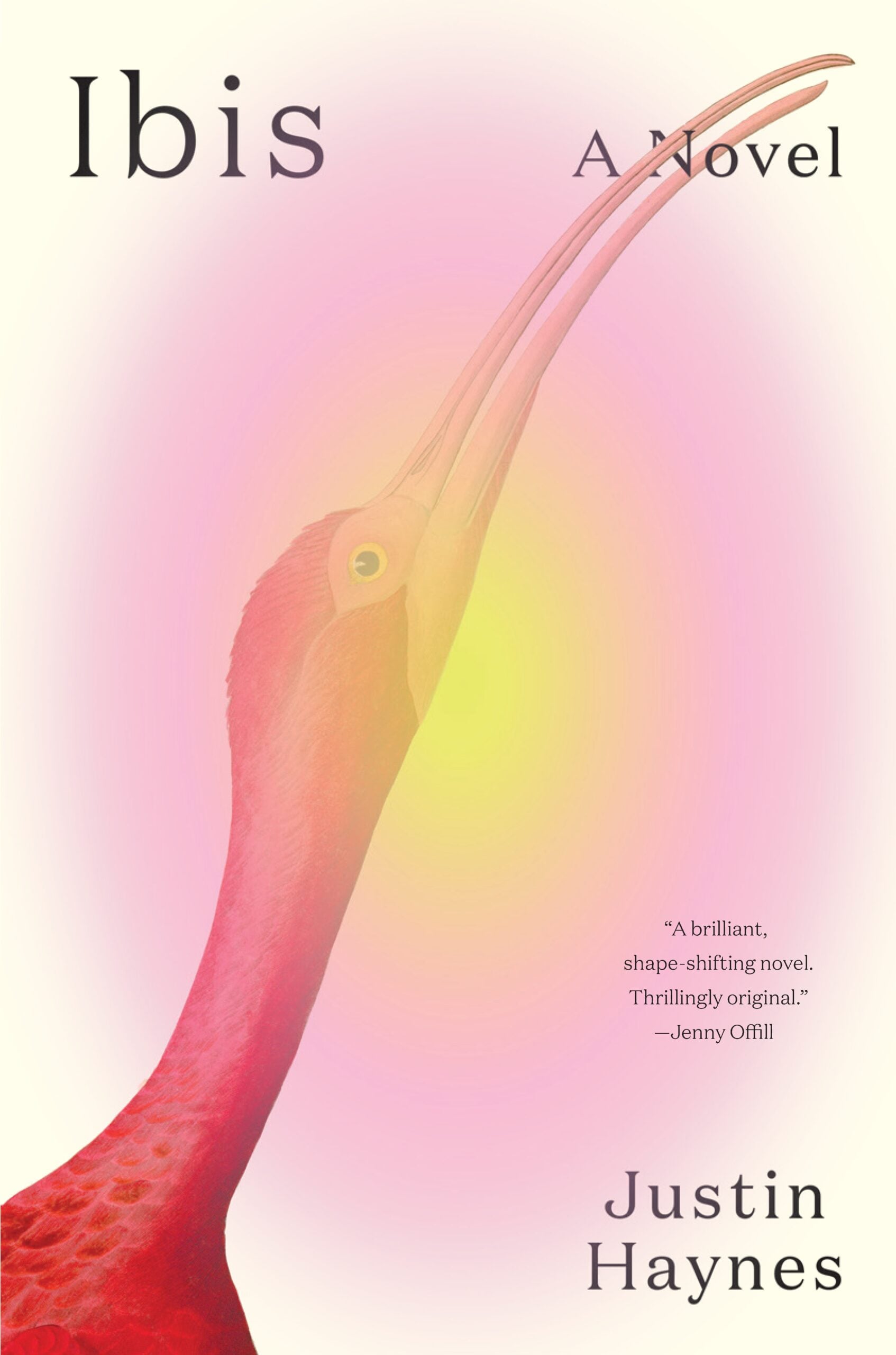 Book cover for Ibis: A Novel by Justin Haynes, featuring a close-up of a red ibis bird with a long curved beak against a soft pink and yellow background. Includes a praise blurb by Jenny Offill.