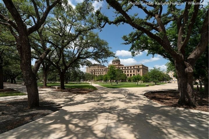 A university building with a domed roof stands in the background, framed by large, leafy trees and wide, paved walkways on a sunny day.