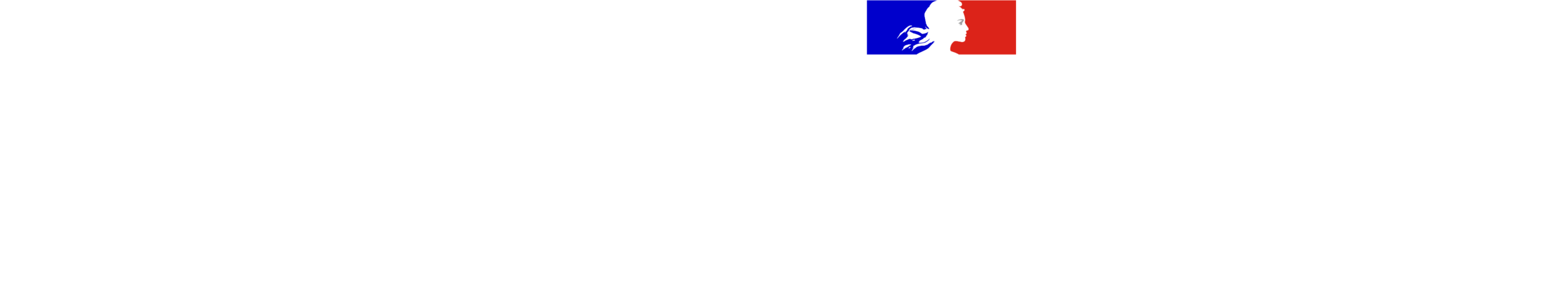 White logo of Villa Albertine and the Embassy of France in the US, with the French flag and Marianne icon. Text includes: “Villa Albertine,” “AMBASSADE DE FRANCE AUX ÉTATS-UNIS,” and “Liberté, Égalité, Fraternité.”.